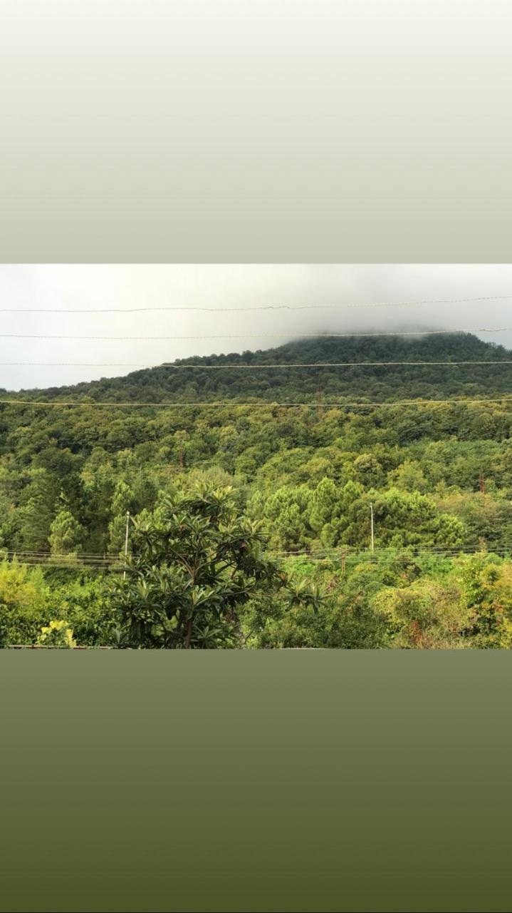 Guesthouse On Sovhoznaya 18 Γκάγκρα Εξωτερικό φωτογραφία
